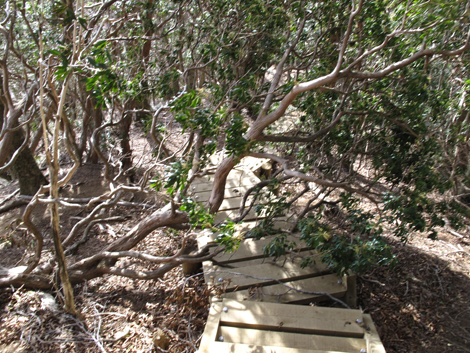 20190108hike (298)
